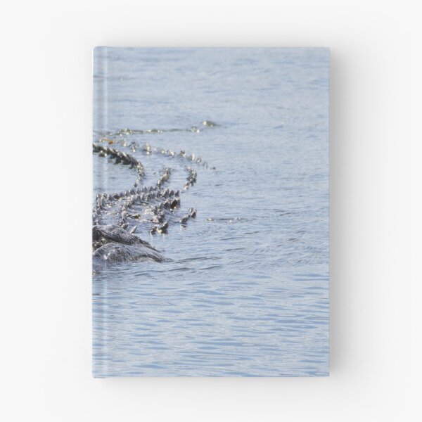Item preview, A Fast Approach designed and sold by InhumanImaging.