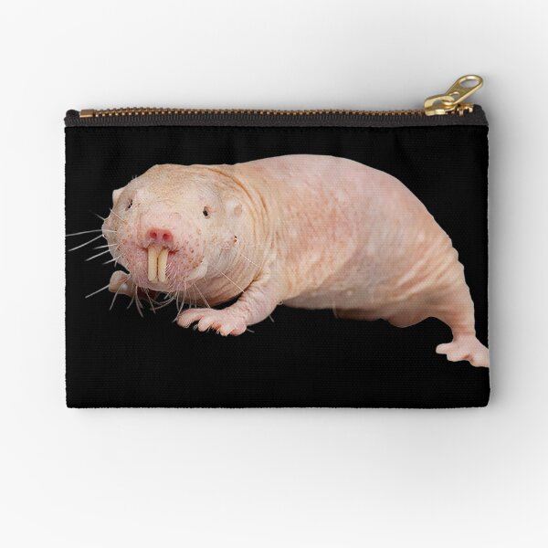Pochettes Sur Le Theme Rat Taupe Nu Redbubble