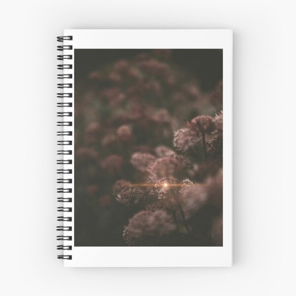 Aperçu de l'œuvre Une lumière dans le marron créée et vendue par SPKshop.
