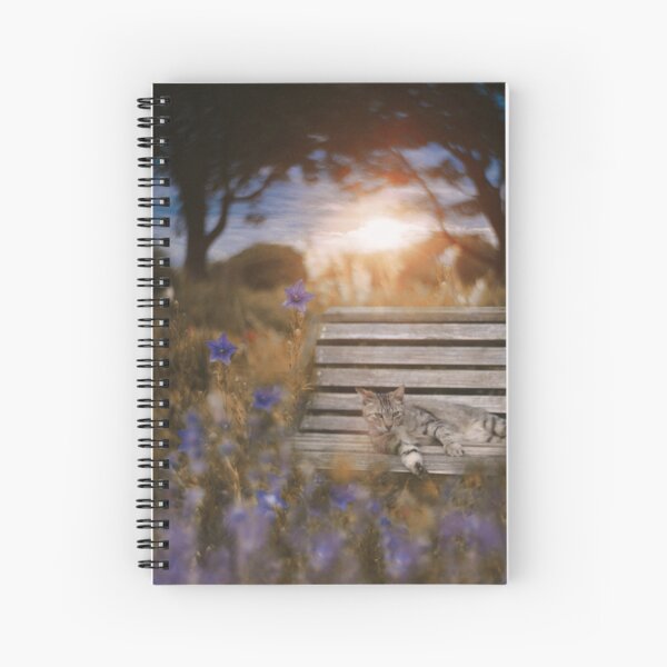 Dusk Spiral Notebook