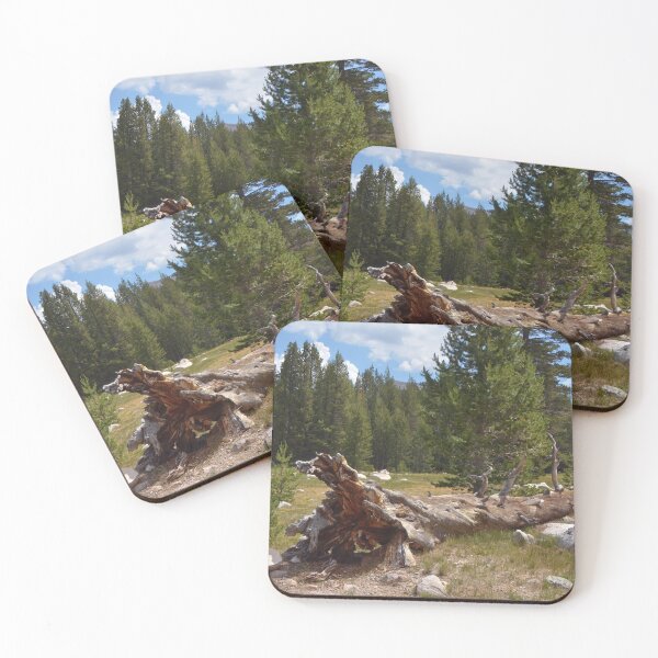 Item preview, Fallen Tree at Tuolumne Meadows Yosemite National Park designed and sold by Tdcc2000.