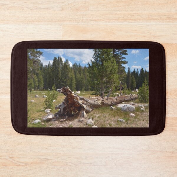 Item preview, Fallen Tree at Tuolumne Meadows Yosemite National Park designed and sold by Tdcc2000.