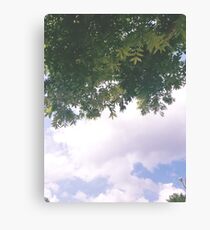 Always lookin up Canvas Print