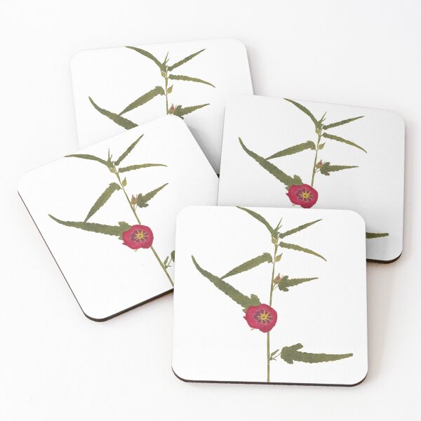 Item preview, Pentapetes - Vintage hand-colored nature print from 1758 designed and sold by AuraSisters.
