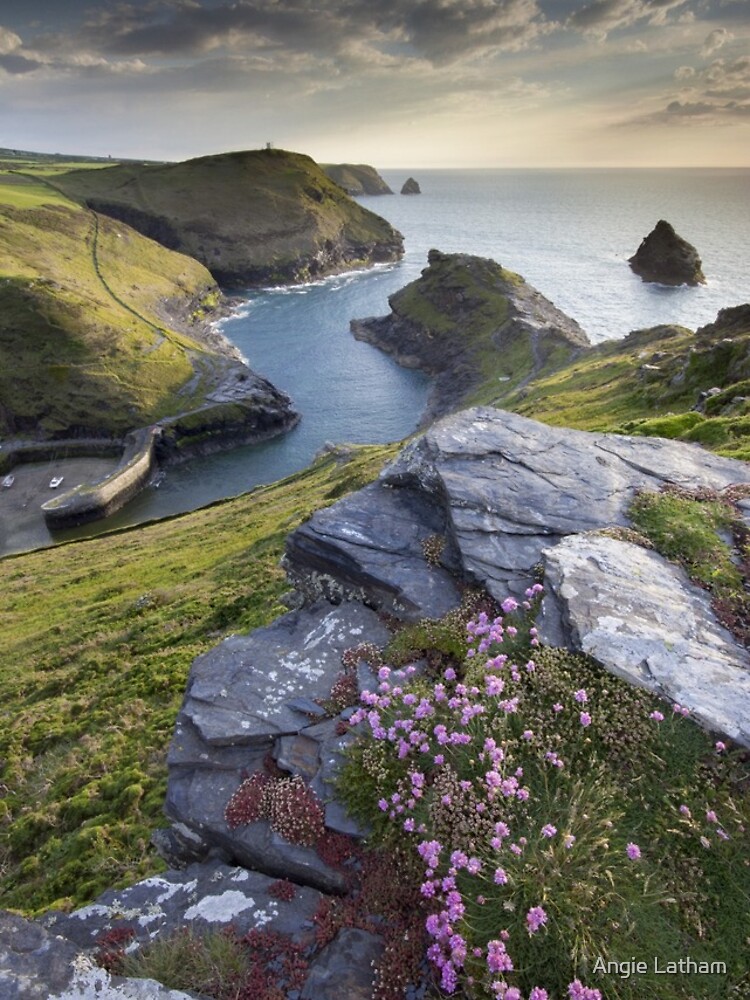 Cornwall : Boscastle Harbour by AngelaBarnett