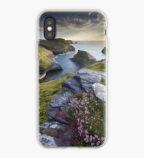 Cornwall : Boscastle Harbour iPhone Case