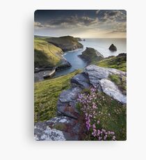 Cornwall : Boscastle Harbour Canvas Print