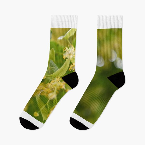 Item preview, Linden blossom in summer designed and sold by Ingo Gerlach.