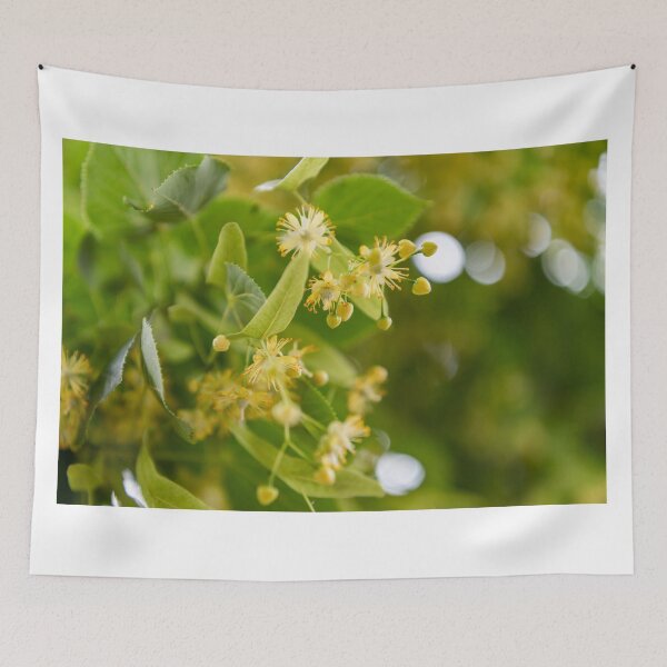 Item preview, Linden blossom in summer designed and sold by Ingo Gerlach.