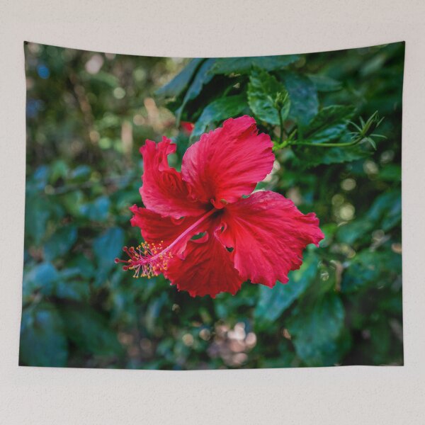 Item preview, Red Hibiscus Flower designed and sold by Catherine Reading.