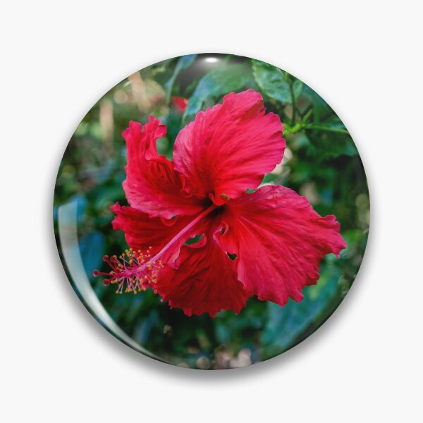 Item preview, Red Hibiscus Flower designed and sold by Catherine Reading.