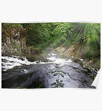 Swallow falls Poster