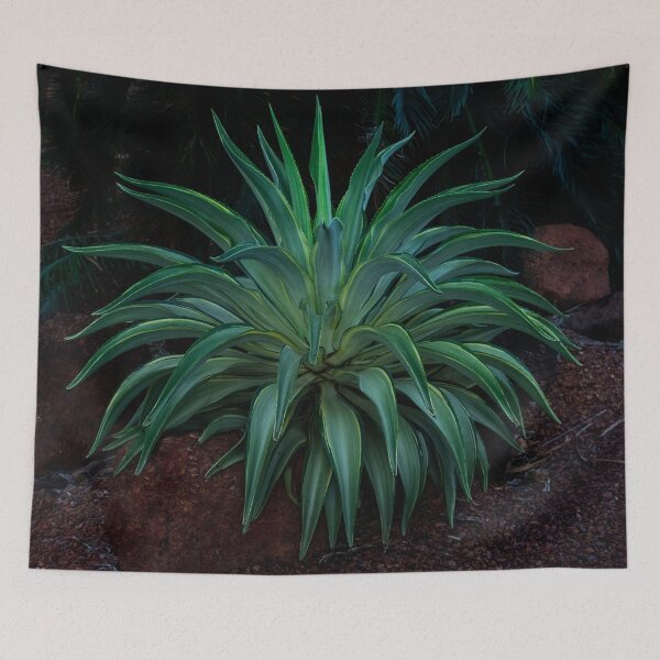 Item preview, Green Agave Plant  designed and sold by Catherine Reading.