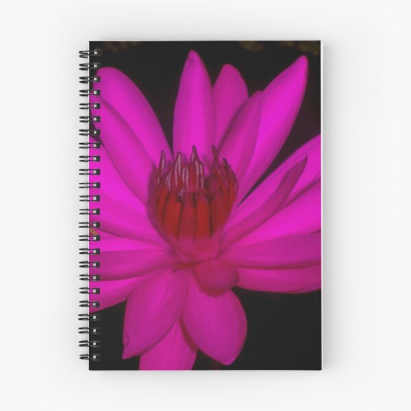 Item preview, The Lotus designed and sold by ShehaniJay.