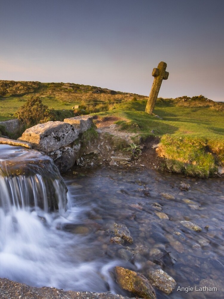The Windy Post - Dartmoor by AngelaBarnett