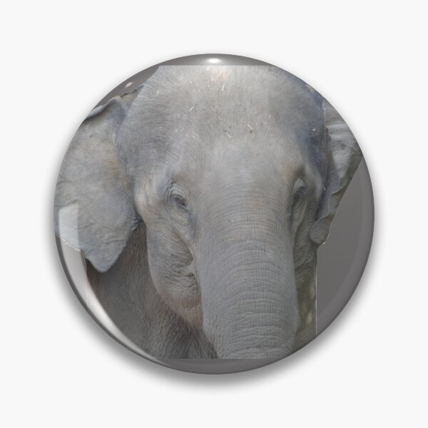 Item preview, Elephant portrait designed and sold by VeenaNair23.