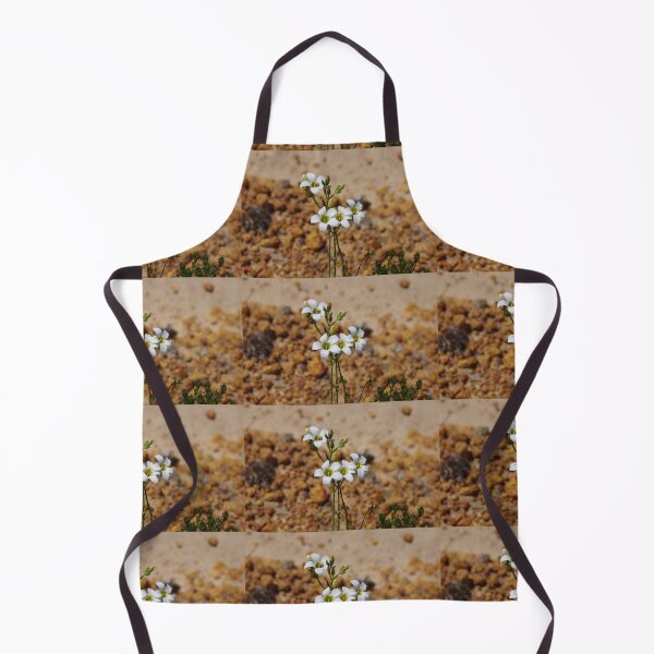 Item preview, Leafy Sundew, Drosera stolonifera designed and sold by lezvee.