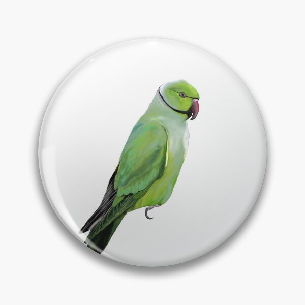 Item preview, Green Parrot Bird Scientific illustration - psittacula krameri designed and sold by clorofila.