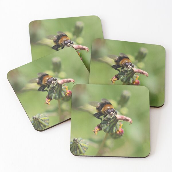 Item preview, Hoverfly bee mimic designed and sold by GreyFeatherPhot.