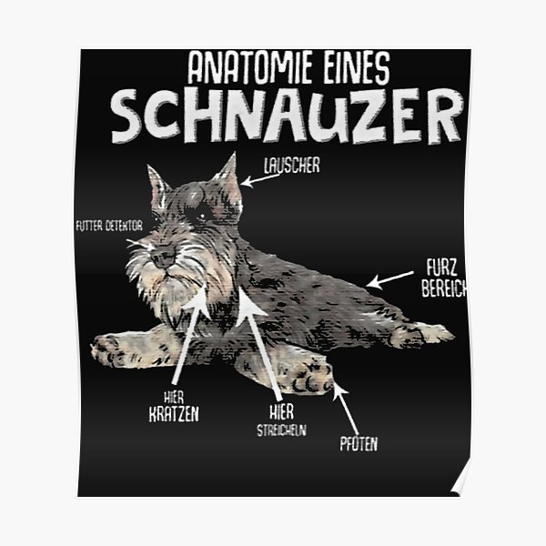 Anatomie Posters Redbubble