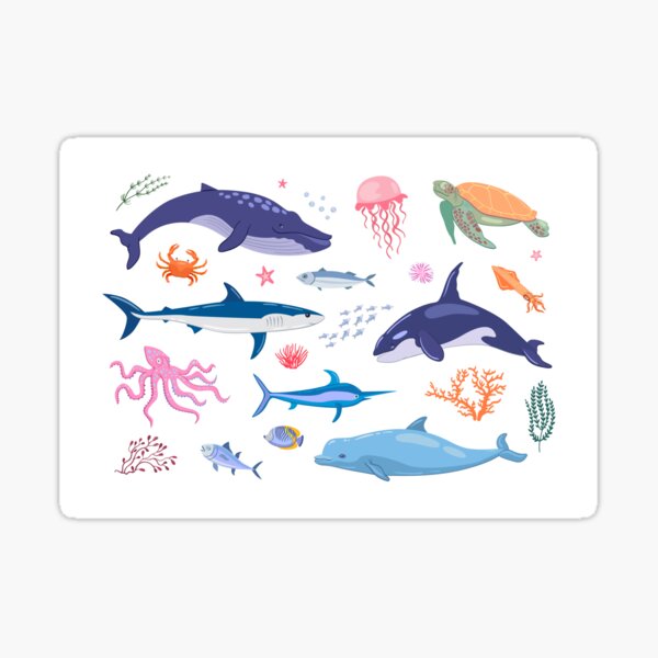 Aquatic Animal Sticker