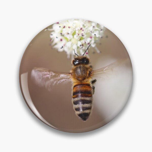 Item preview, Hovering honeybee designed and sold by GreyFeatherPhot.