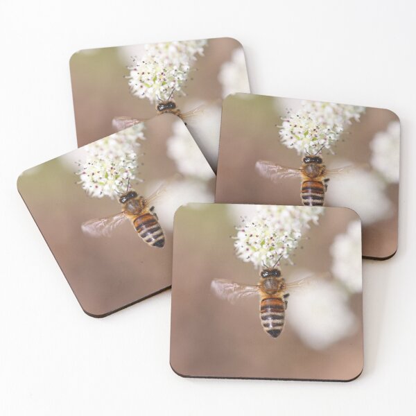 Item preview, Hovering honeybee designed and sold by GreyFeatherPhot.