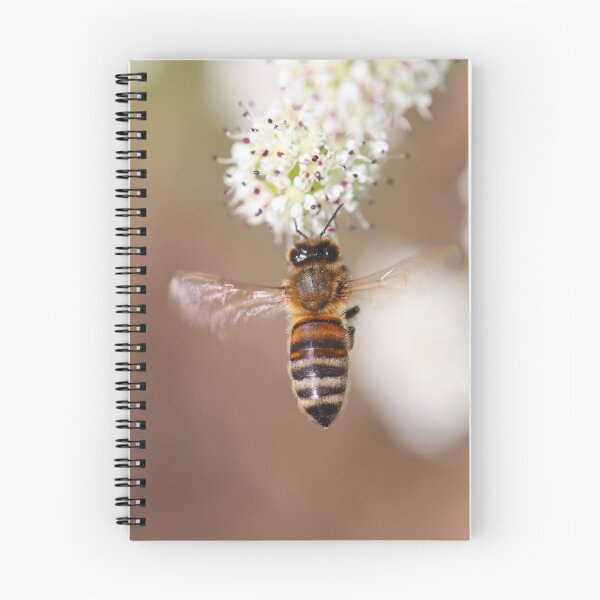Item preview, Hovering honeybee designed and sold by GreyFeatherPhot.