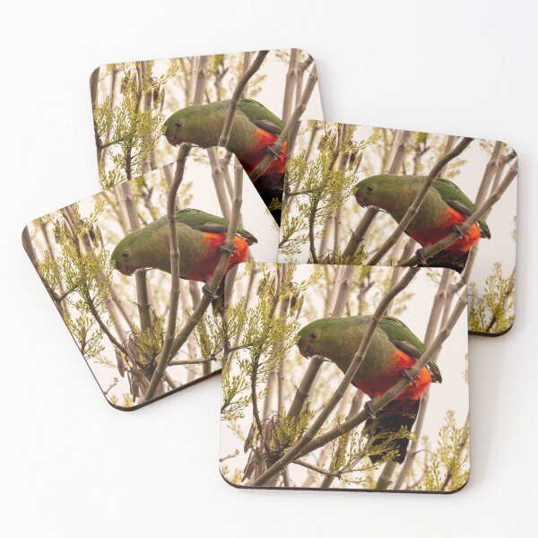 Item preview, King Parrot sitting in a deciduous tree  designed and sold by Robbie Alexander.