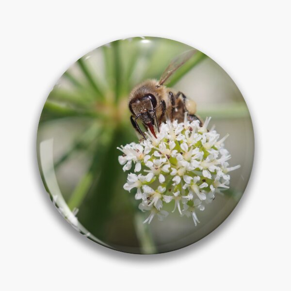 Item preview, Thirsty honeybee designed and sold by GreyFeatherPhot.