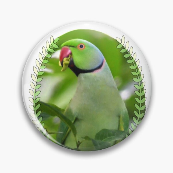 Item preview, Parrot/parakeet designed and sold by VeenaNair23.