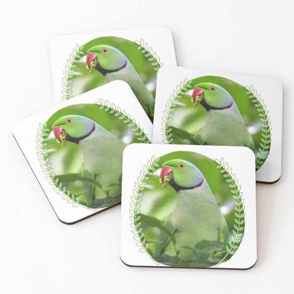 Item preview, Parrot/parakeet designed and sold by VeenaNair23.