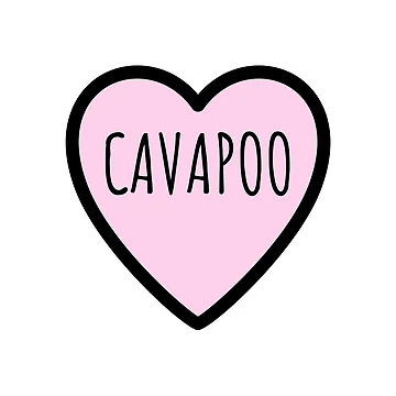 Artwork thumbnail, Cavapoo by PinkPerfect