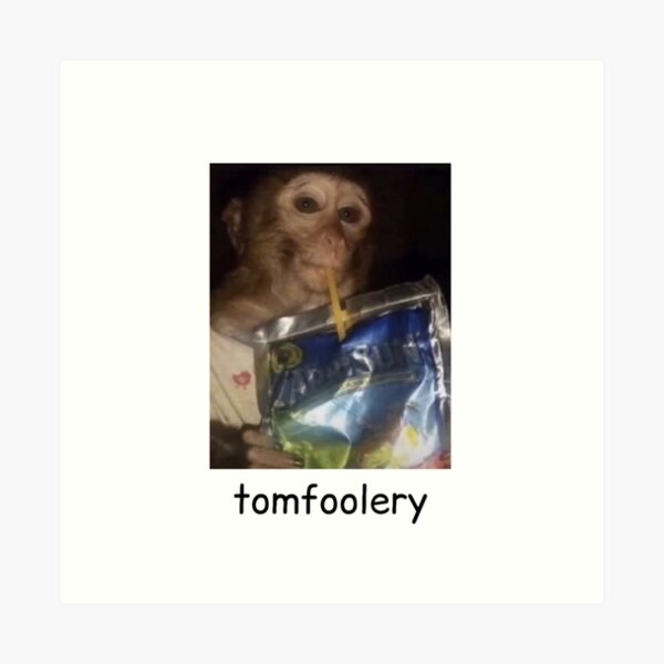 Aperçu de l'œuvre Singe drôle de Tomfoolery créée et vendue par daphhne.