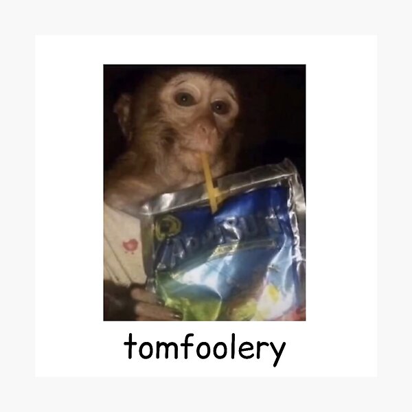 Monkey sipping caprisun meme | Photographic Print