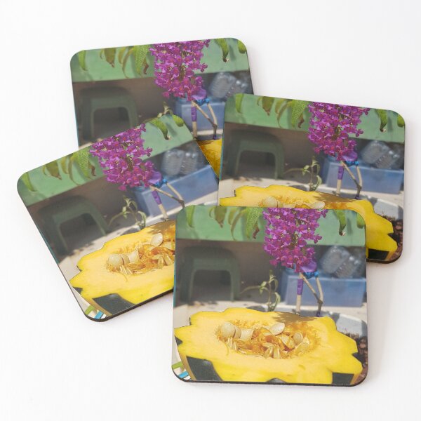 Item preview, Acorn Squash, Buddleia photo by Shoshan Boxenhorn Ester Karen Aida shop designed and sold by EsterKarenAida.