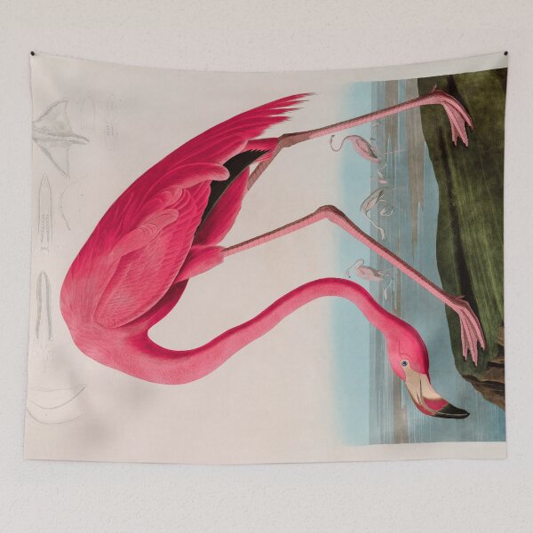 Item preview, Birds of America Audubon American Flamingo Illustration Bird Lovers Gift designed and sold by VintageArchive.