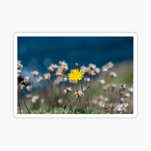 Yellow Sticker