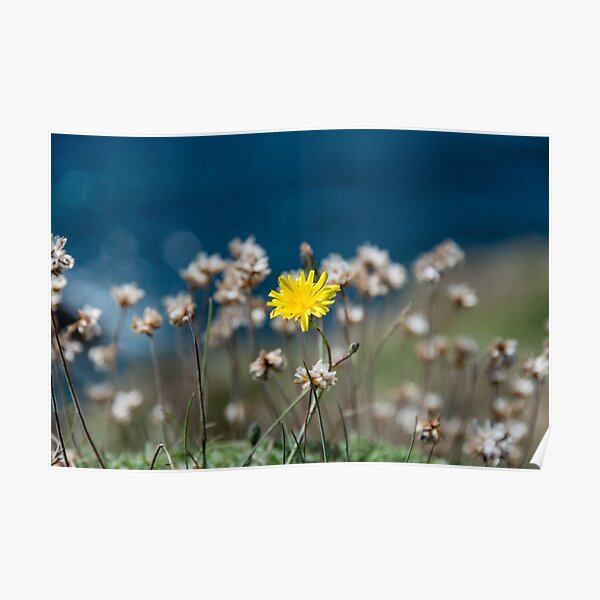 Yellow Poster