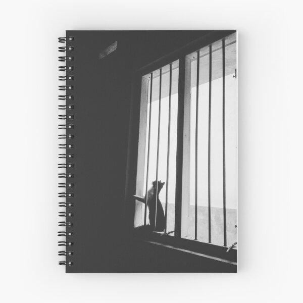 Item preview, Gato en la ventana designed and sold by PSD-Design.