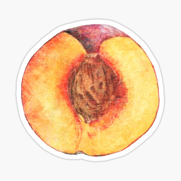 Peach Illustration Drawing Juicy Fruit Funny Suggestive Summer LGBT   St,small,507x507 Pad,600x600,f8f8f8 