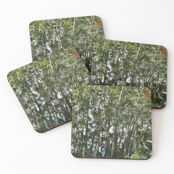 Item preview, Bamboo designed and sold by Crystaliii.