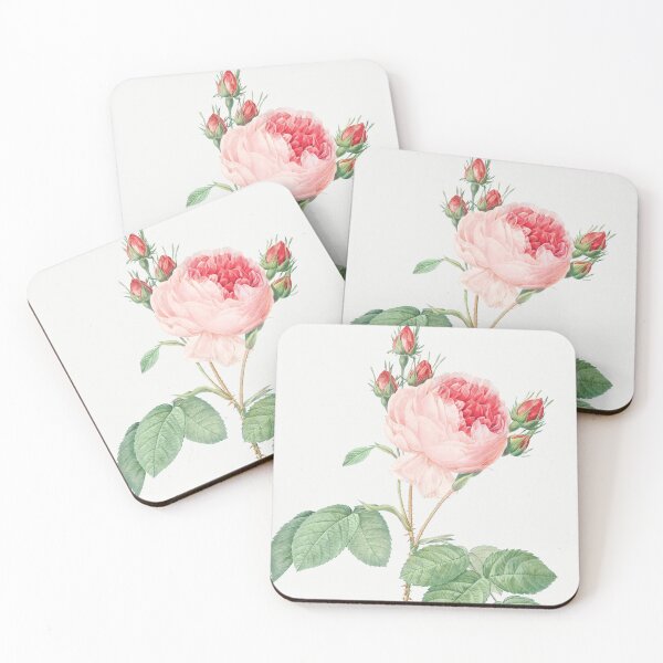 Item preview, Cabbage Rose, (One Hundred-Leaved Rose) - Pierre-Joseph Redouté. designed and sold by shencaben.