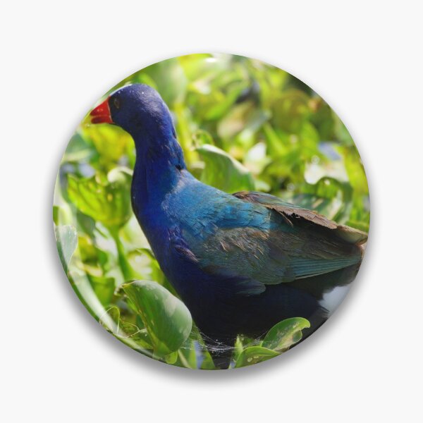Item preview, Swamphen designed and sold by InhumanImaging.