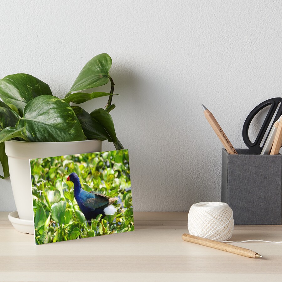 Item preview, Art Board Print designed and sold by InhumanImaging.