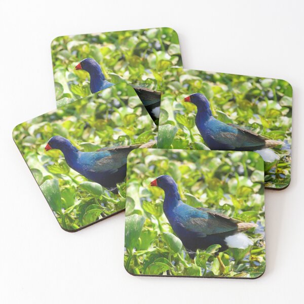 Item preview, Swamphen designed and sold by InhumanImaging.