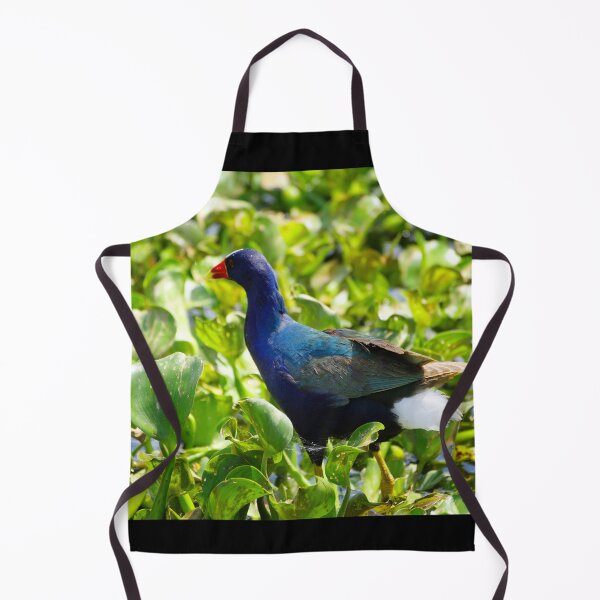 Item preview, Swamphen designed and sold by InhumanImaging.