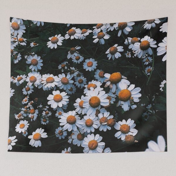 Item preview, white daisies with yellow heart bush designed and sold by filon19931.