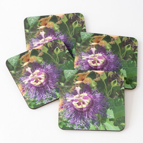 Item preview, Passion Fruit Flower designed and sold by Crystaliii.