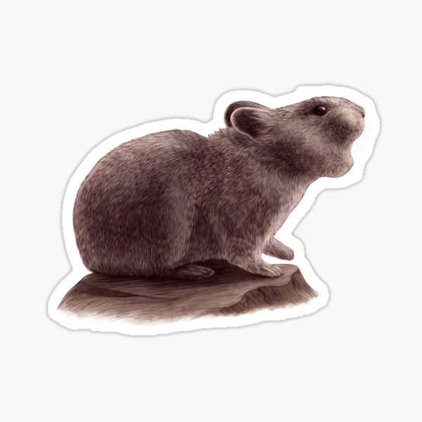 Item preview, American Pika designed and sold by WanderingSole.